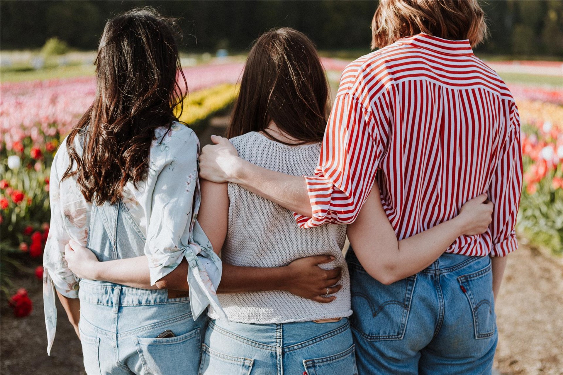 Drei Frauen von hinten fotografiert. Sie hängen ihre Arme gegenseitig ein. 